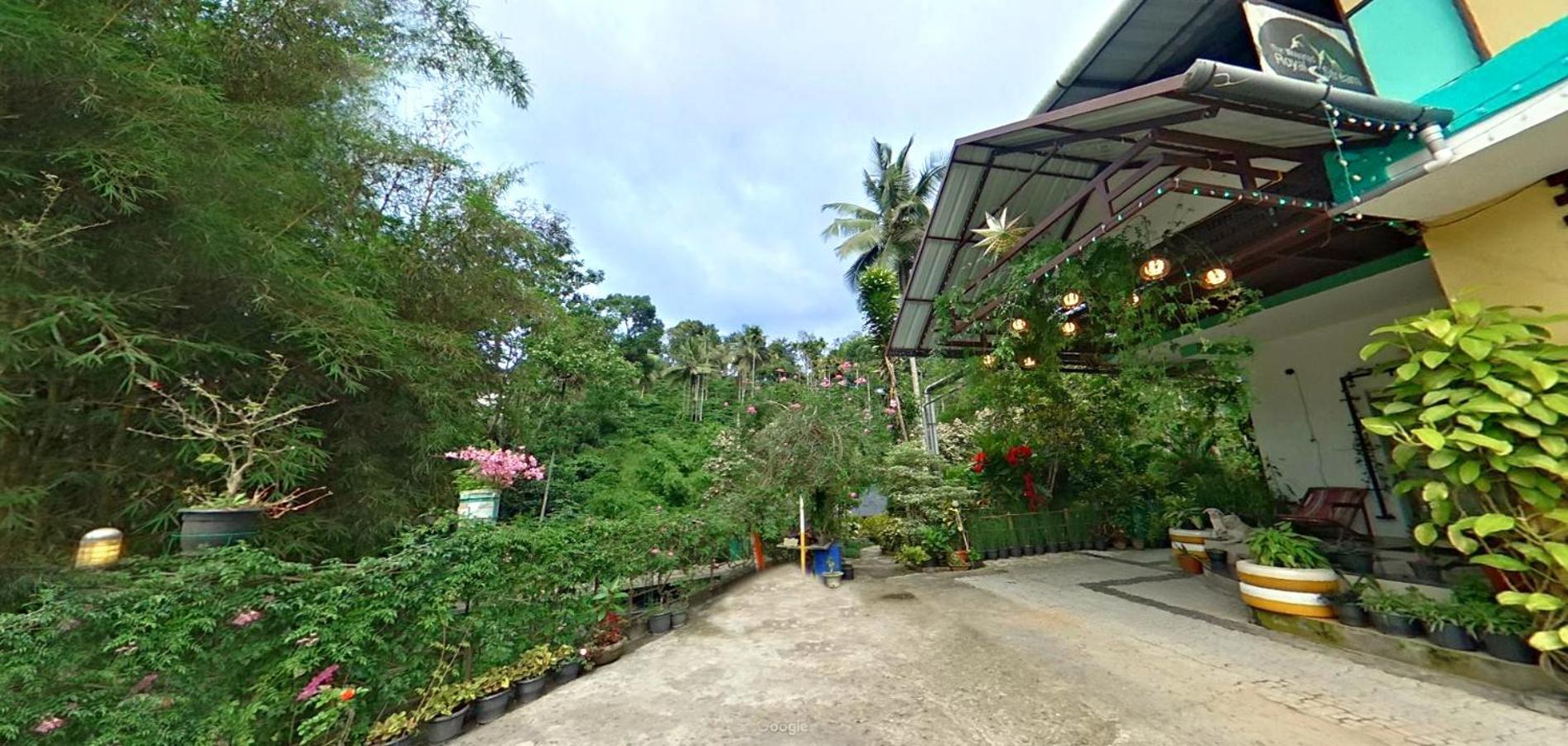 Wayanad Royal Stream Bed & Breakfast Калпата Екстериор снимка