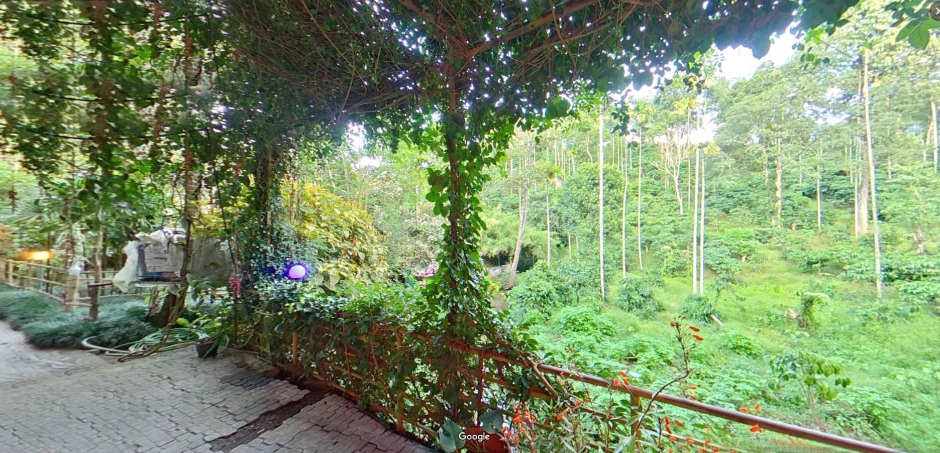 Wayanad Royal Stream Bed & Breakfast Калпата Екстериор снимка