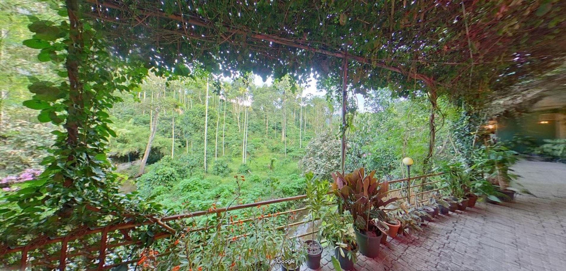Wayanad Royal Stream Bed & Breakfast Калпата Екстериор снимка
