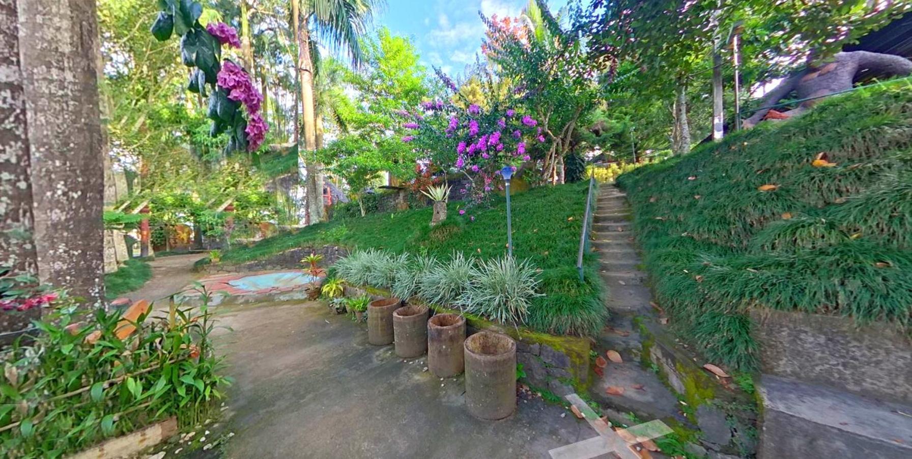 Wayanad Royal Stream Bed & Breakfast Калпата Екстериор снимка