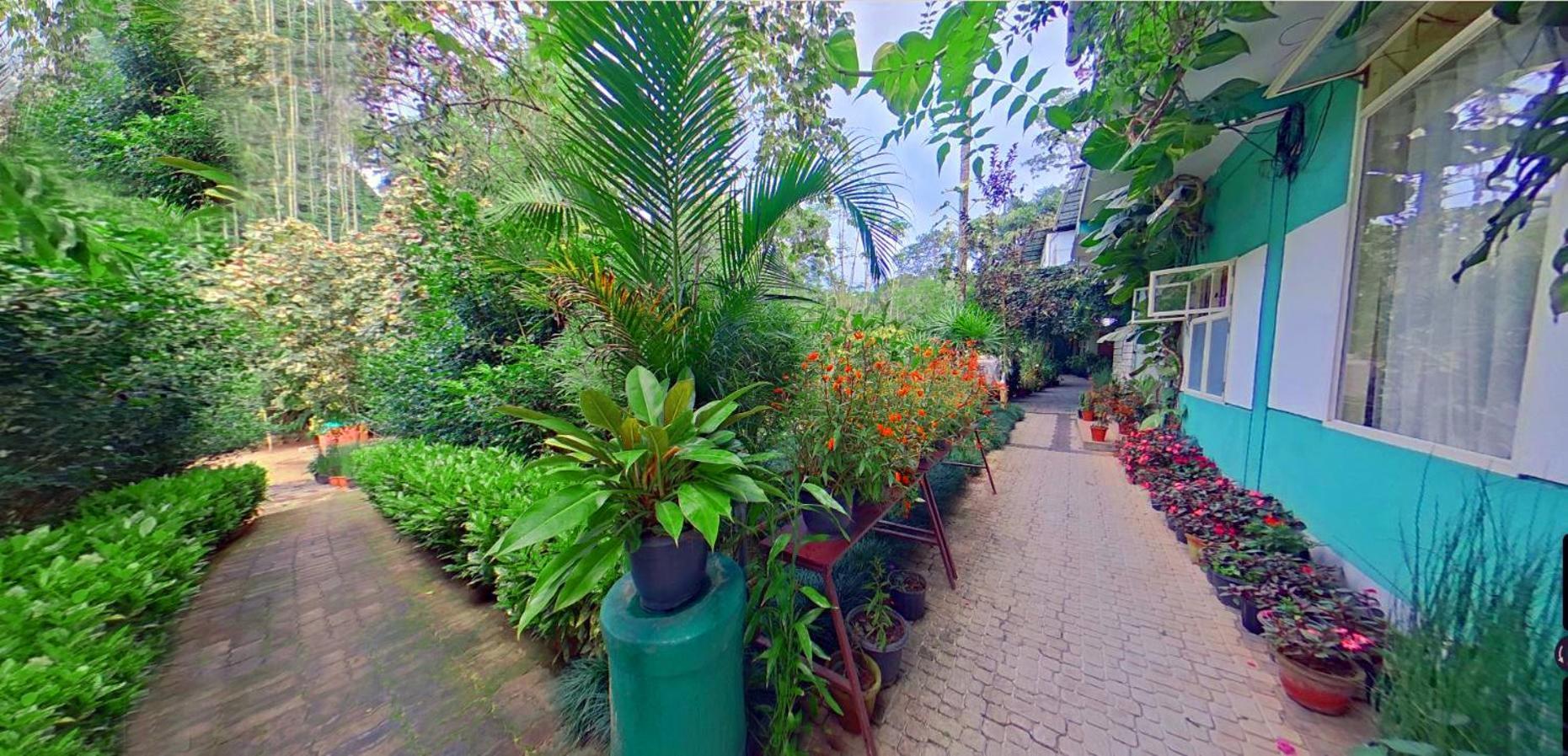 Wayanad Royal Stream Bed & Breakfast Калпата Екстериор снимка