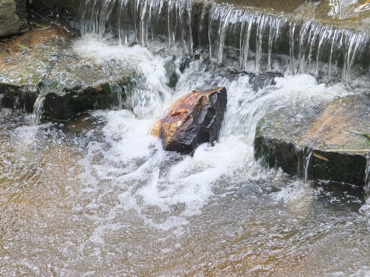 Wayanad Royal Stream Bed & Breakfast Калпата Екстериор снимка